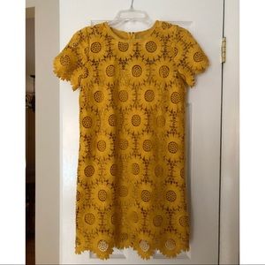 Loft Petite Sunflower Lace Dress